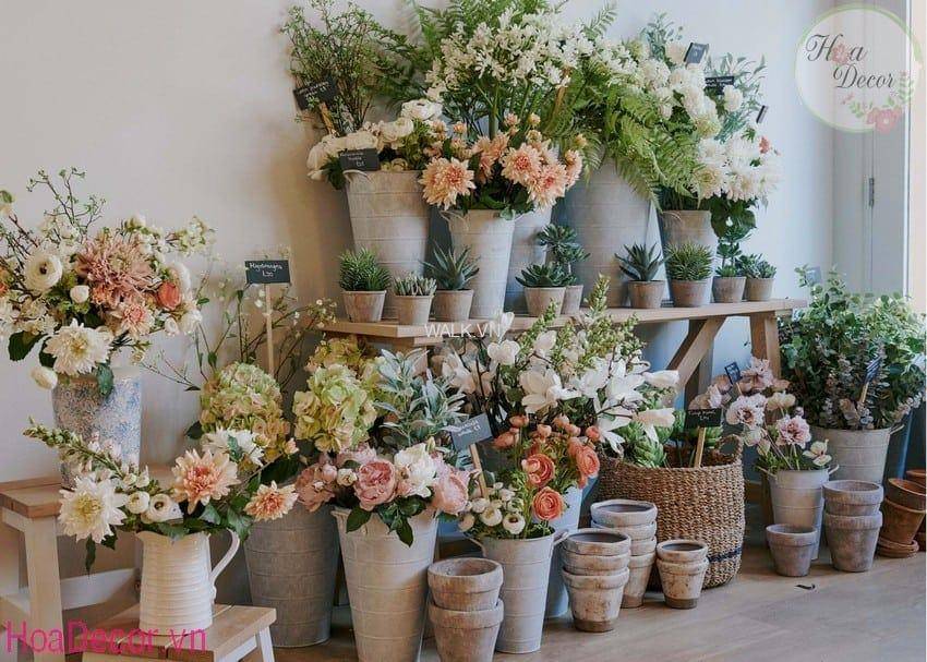 Top những cửa hàng hoa tươi Phan Rang đẹp nhất