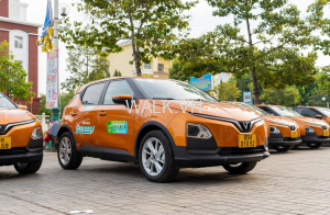 taxi điện Ninh Thuận