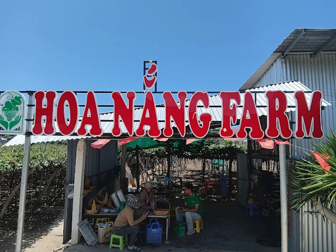 Hoa Nắng Farm - Vườn nho Thái An