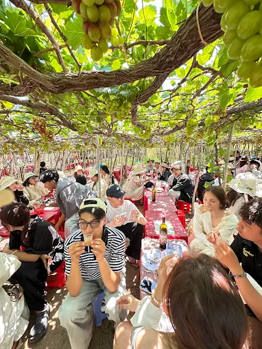 Vườn Nho Ngọc Nga - Thái An