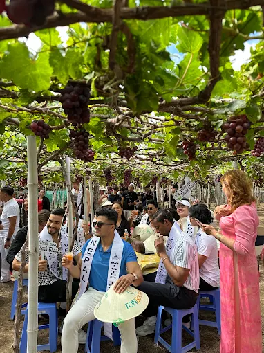 khách du lịch tha hồ chụp ảnh tại vườn nho Thái An